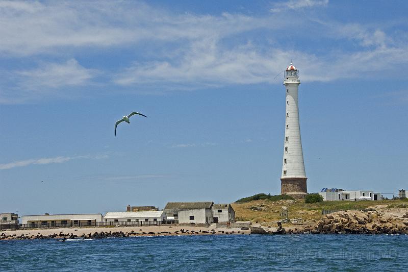 20071207_122827  D2X 4200x2800.jpg - Sea Wolf Island, Punte del Este, Uraguay